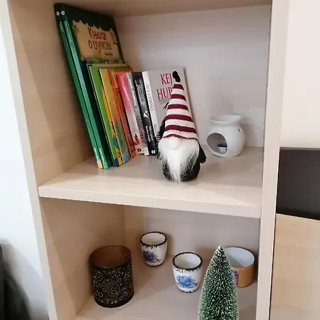 Apartment President Kop S9 *