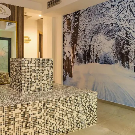 Apartment President Kop S9 Kopaonik