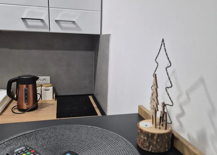 Apartament President Kop S9, S3 & A103 *